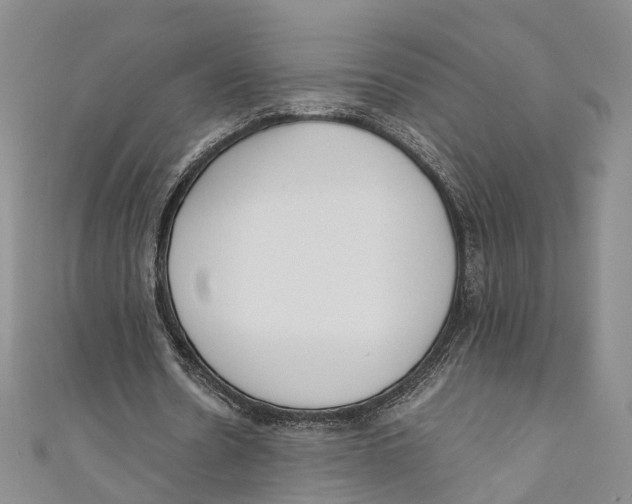 X0000110670530200907101108