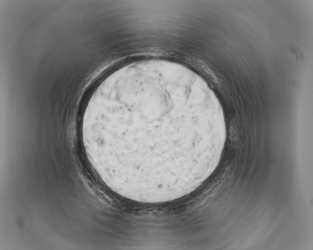 X0000110670532200907101108
