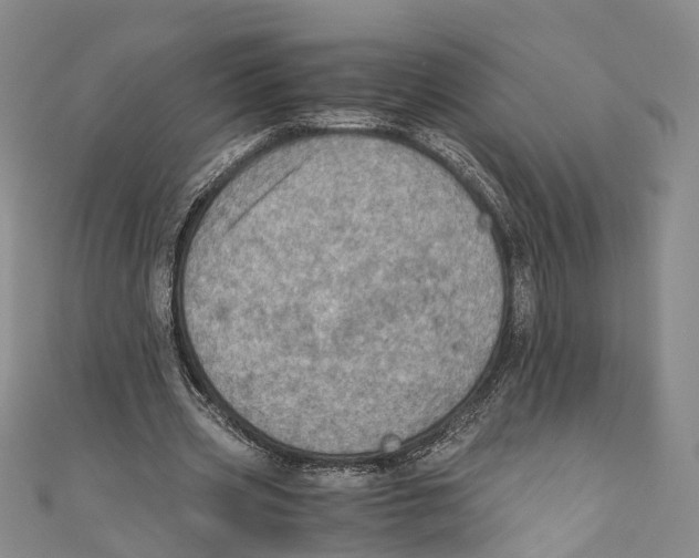 X0000110670533200907101108