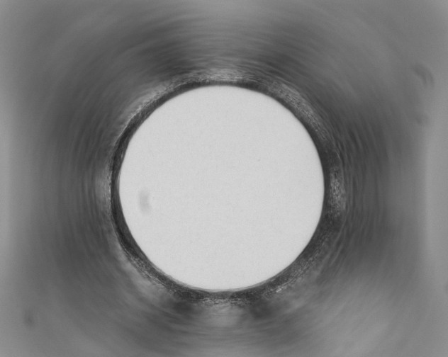 X0000110670534200907101108