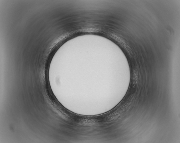X0000110670535200907101108