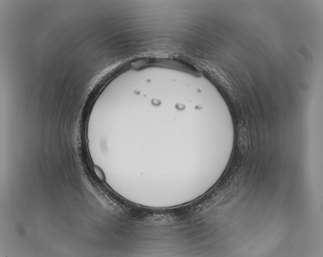 X0000110670536200907101108