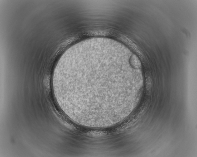 X0000110670537200907101108
