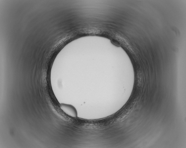 X0000110670538200907101108