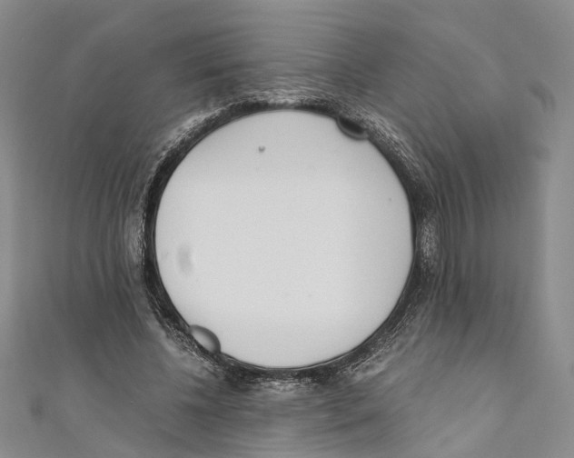X0000110670540200907101108
