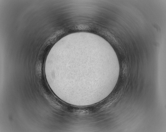 X0000110670542200907101108