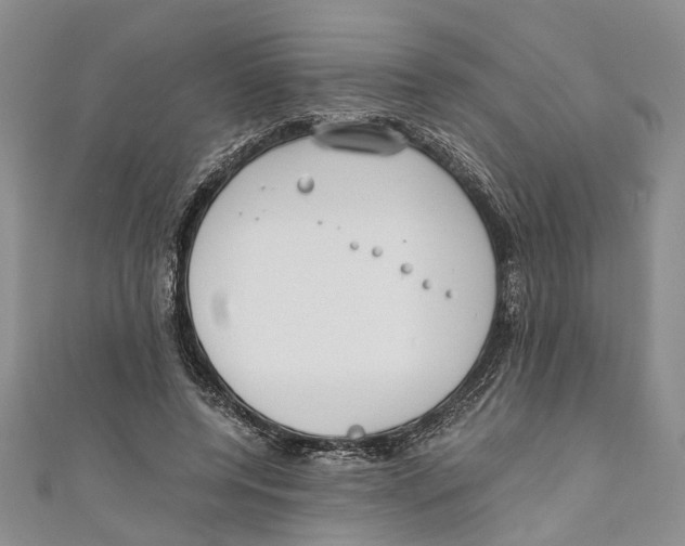 X0000110670544200907101108