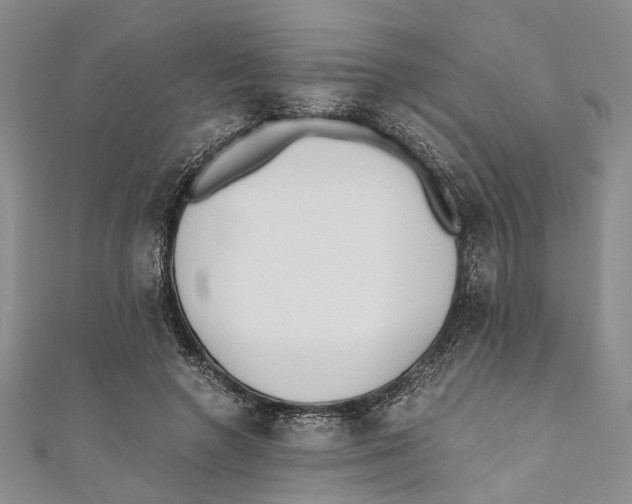 X0000110670546200907101108