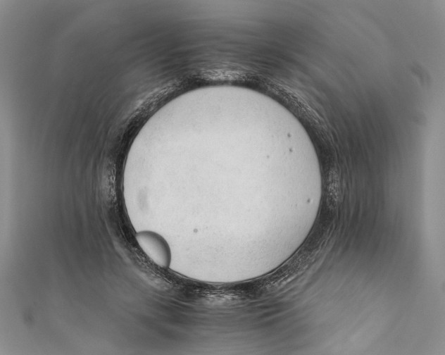 X0000110670547200907101108