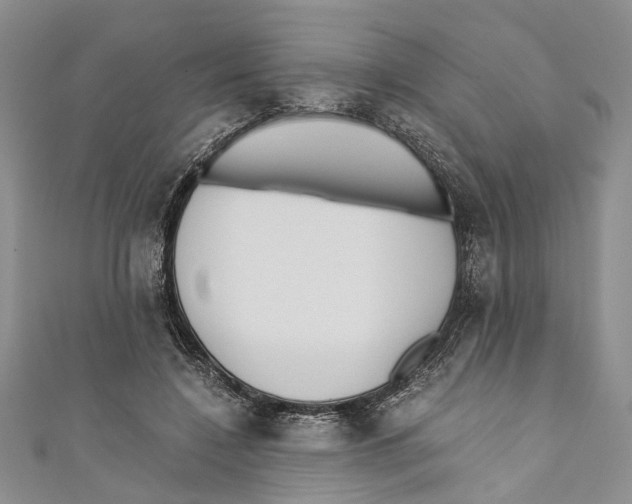 X0000110670548200907101108