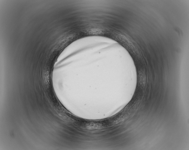 X0000110670549200907101108