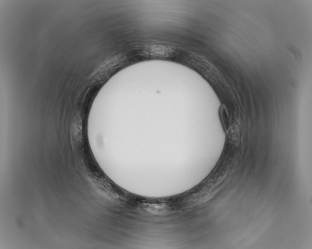 X0000110670552200907101108