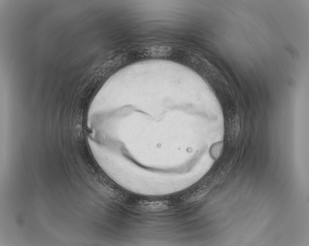 X0000110670553200907101108