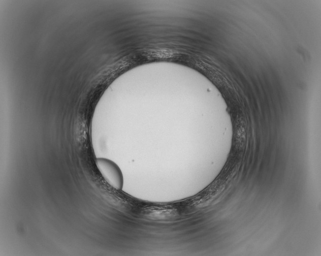 X0000110670555200907101108
