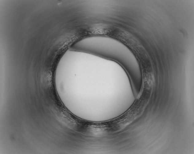 X0000110670556200907101108