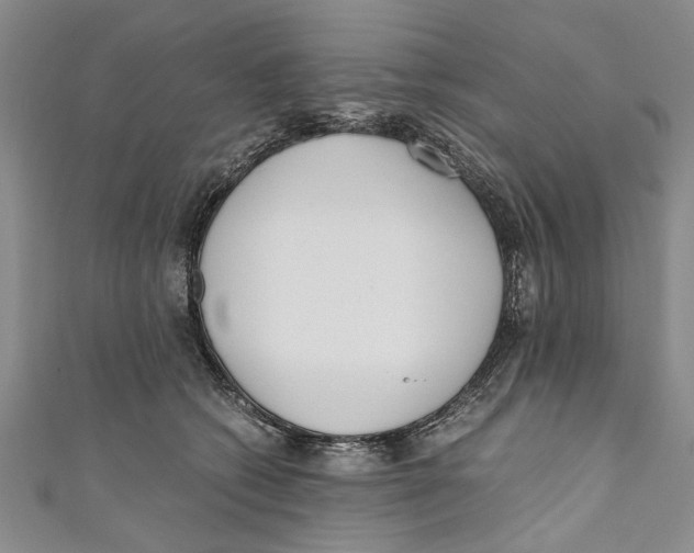 X0000110670562200907101109