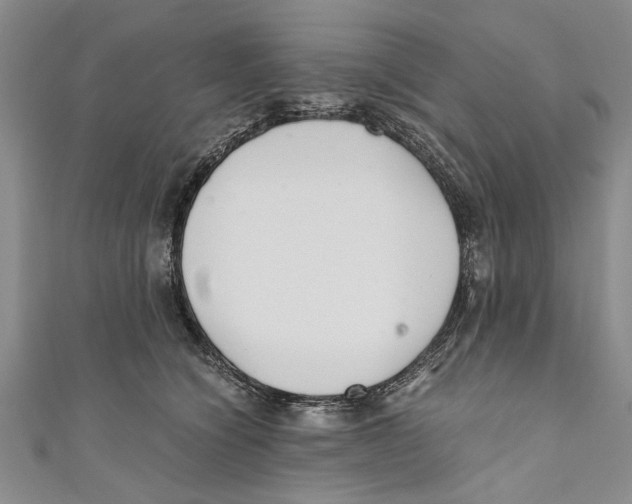 X0000110670564200907101109