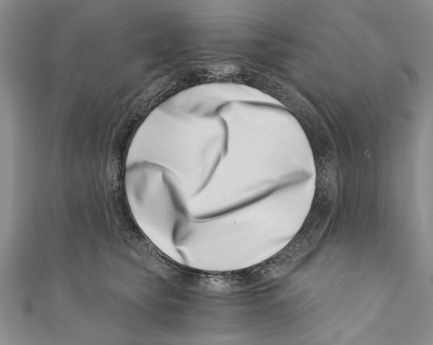 X0000110670565200907101109