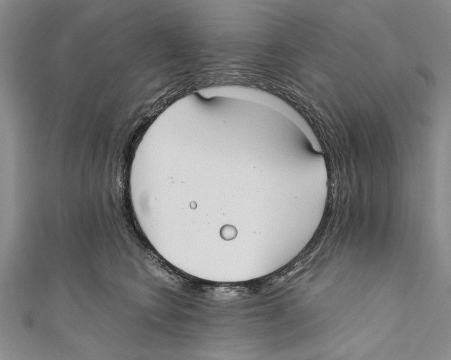 X0000110670566200907101109