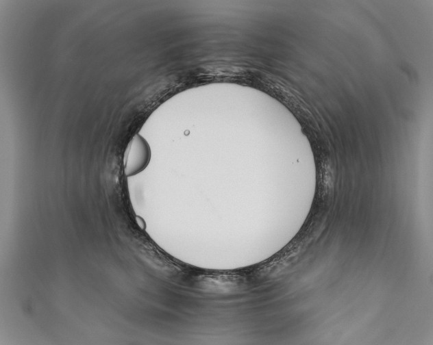 X0000110670567200907101109