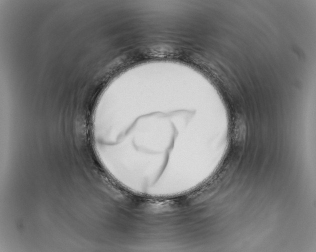 X0000110670569200907101109