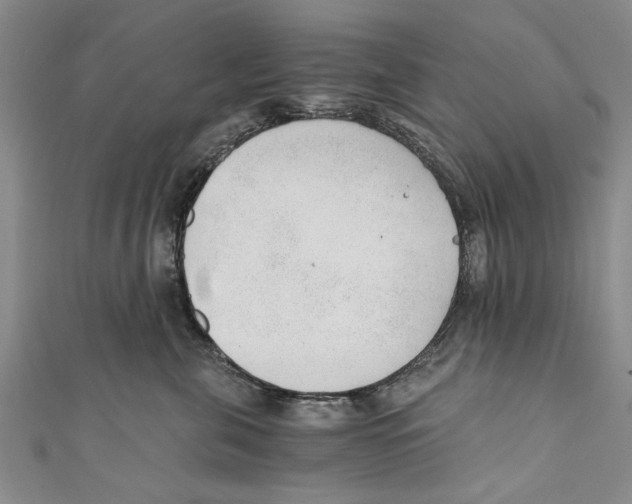 X0000110670571200907101109