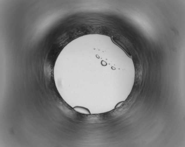 X0000110670574200907101109
