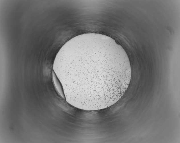 X0000110670576200907101109