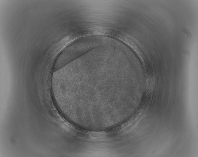 X0000110670577200907101108