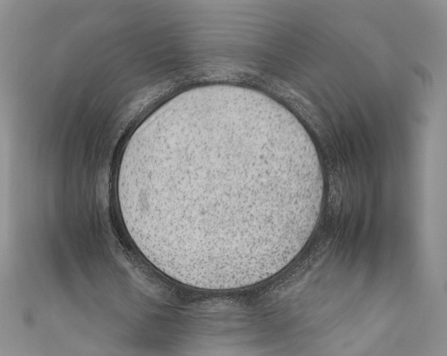 X0000110670578200907101108