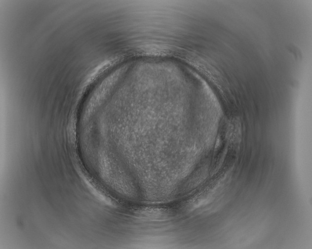 X0000110670581200907101108