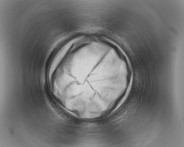 X0000110670582200907101108