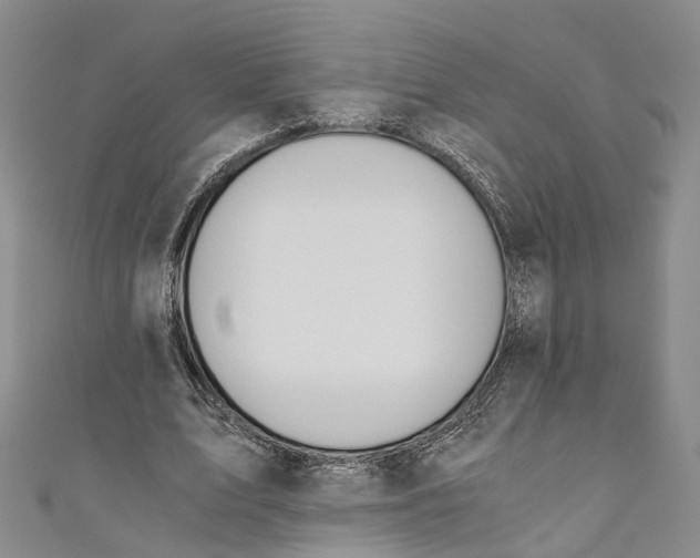X0000110670583200907101108