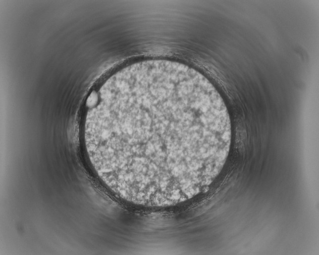 X0000110670584200907101108