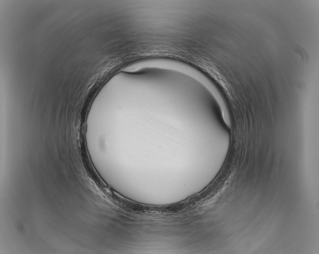 X0000110670585200907101108