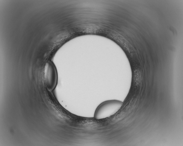 X0000110670589200907101108