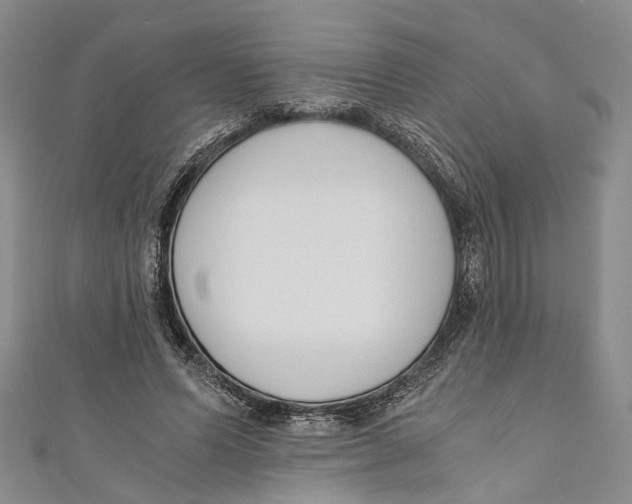 X0000110670591200907101108
