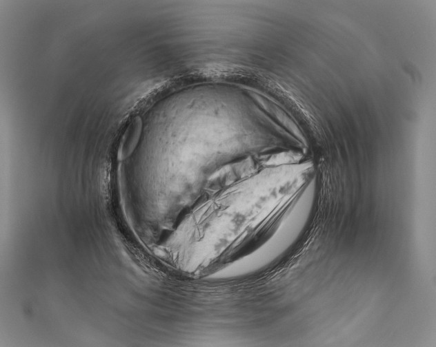 X0000110670592200907101108