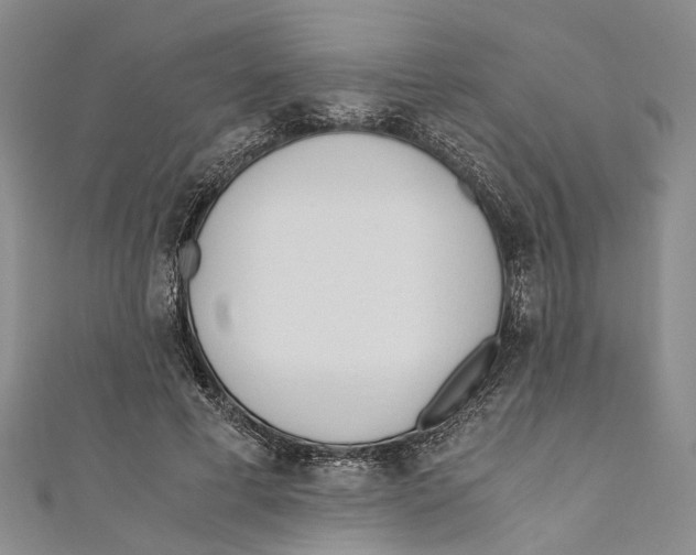 X0000110670593200907101108