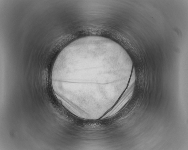 X0000110670594200907101108