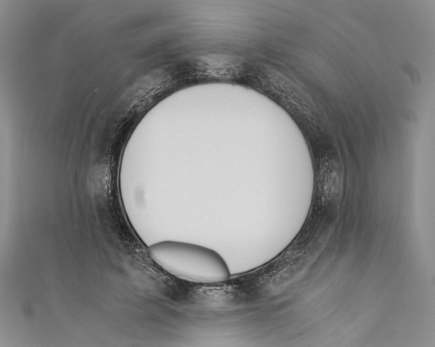 X0000110670595200907101108
