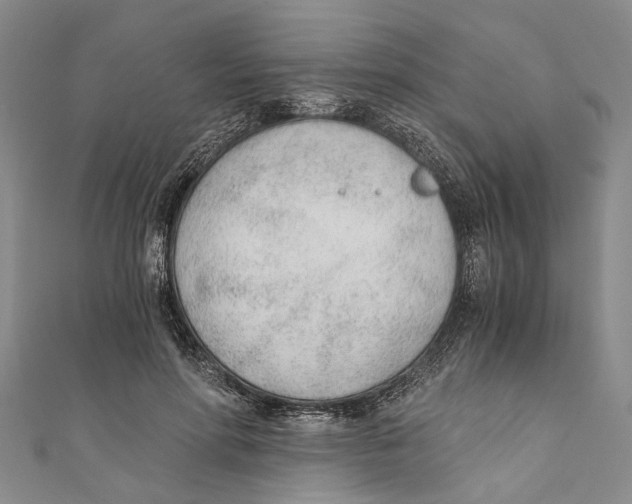 X0000110670598200907101108