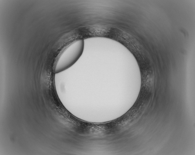 X0000110670599200907101108