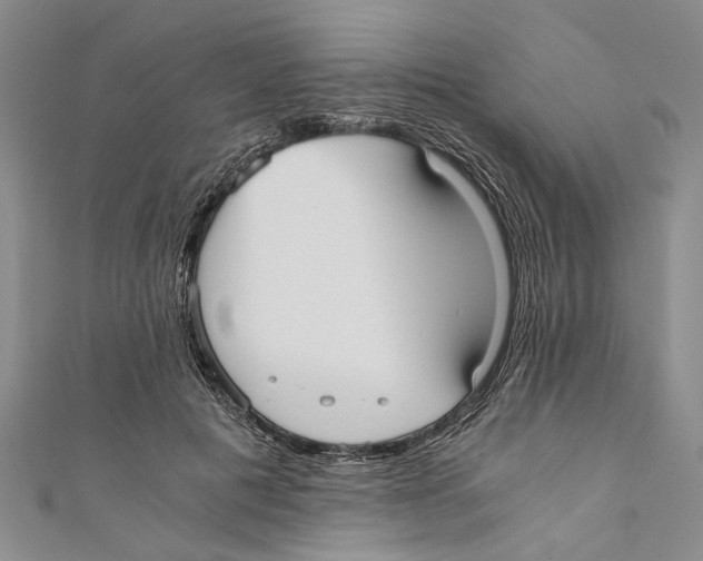 X0000110670601200907101108