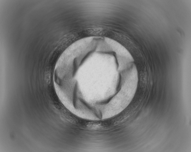X0000110670602200907101108