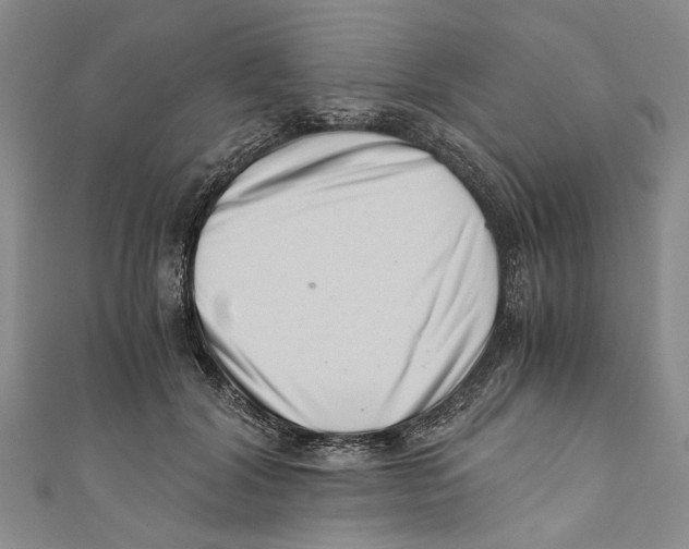 X0000110670604200907101108