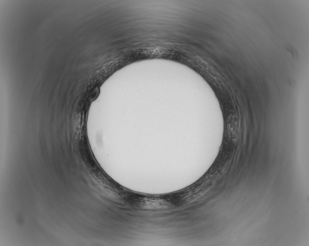 X0000110670605200907101108