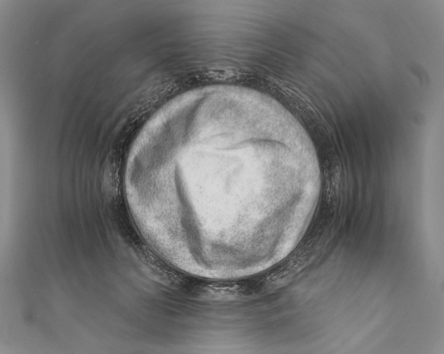X0000110670606200907101108