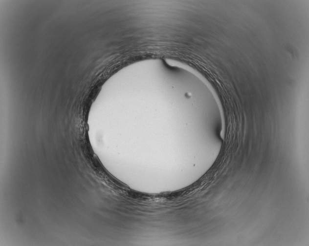 X0000110670609200907101108