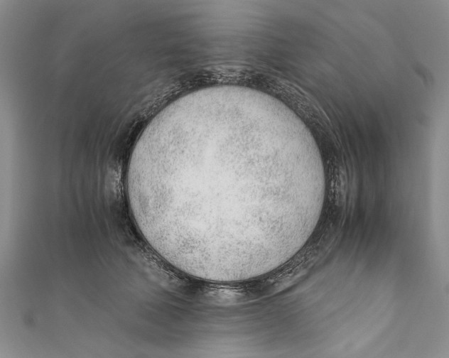 X0000110670610200907101108